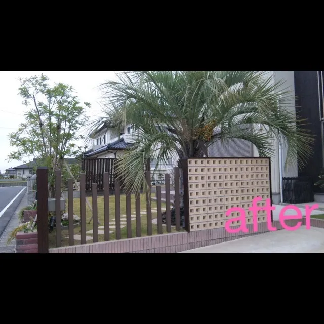 お庭綺麗にしました