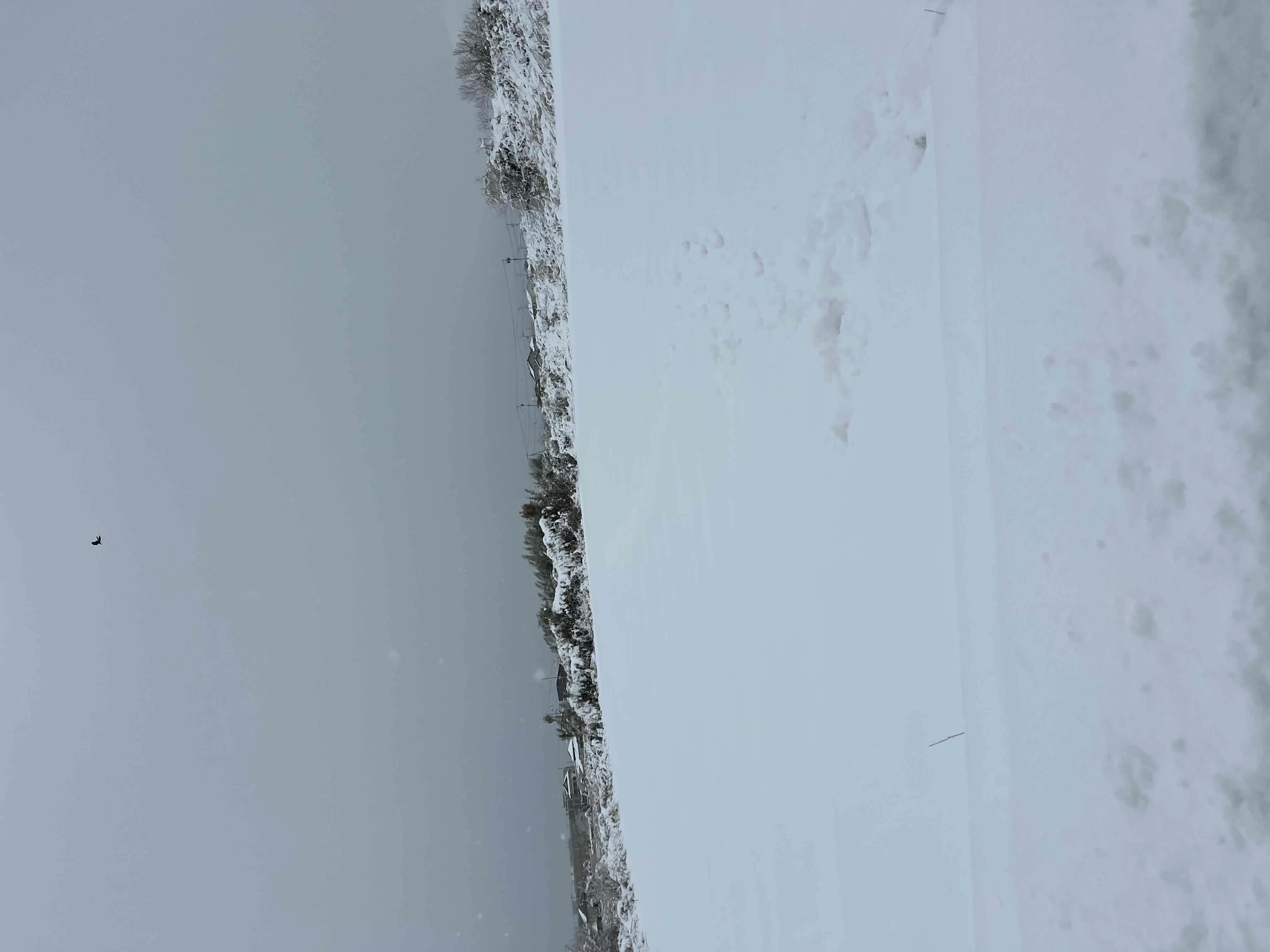 関東に積雪!自然災害の修理保険使えます!